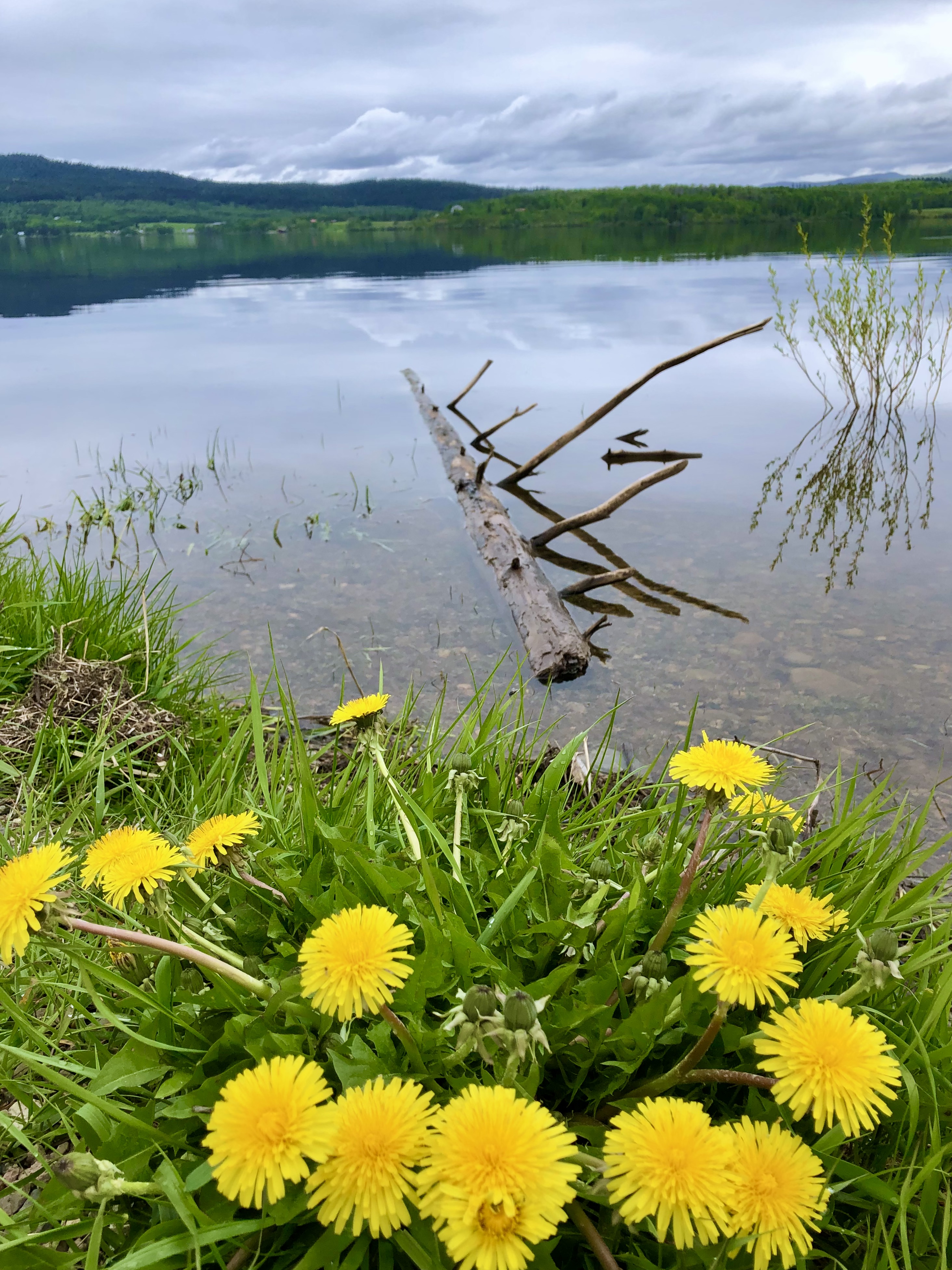 Fraser Lake