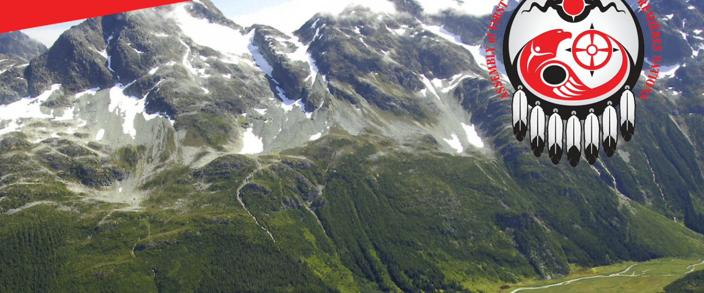 BCAFN backdrop