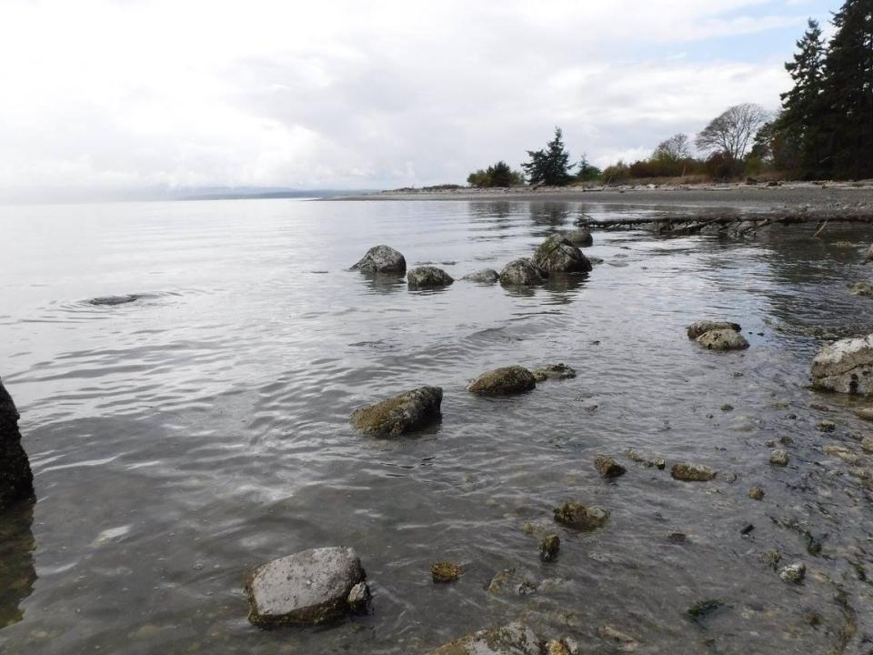 clam garden
