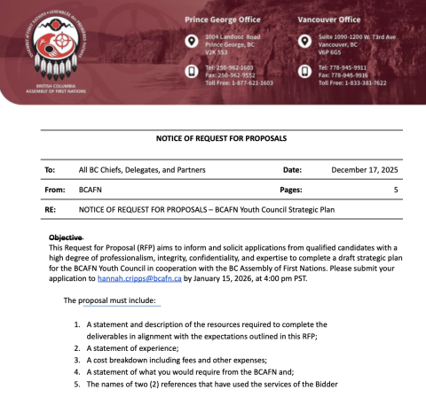 RFP Youth Council strat plan