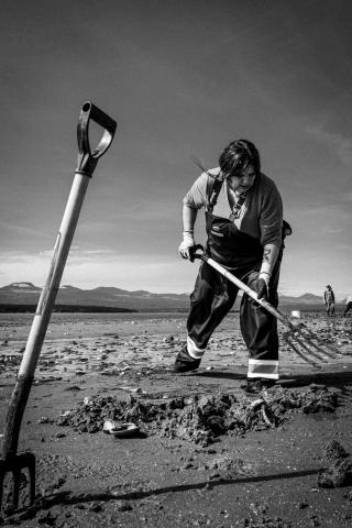 community-harvest